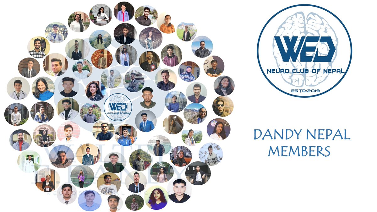 WalterNepal's tweet photo. Delighted to announce the members of our club 👏🏻👏🏻

We hope you have a wonderful time learning and advancing towards neurology, neurosurgery and neurosciences

#Neurosurgery 
#Neurology 
#neuroscience https://t.co/9JOKfxPDuA