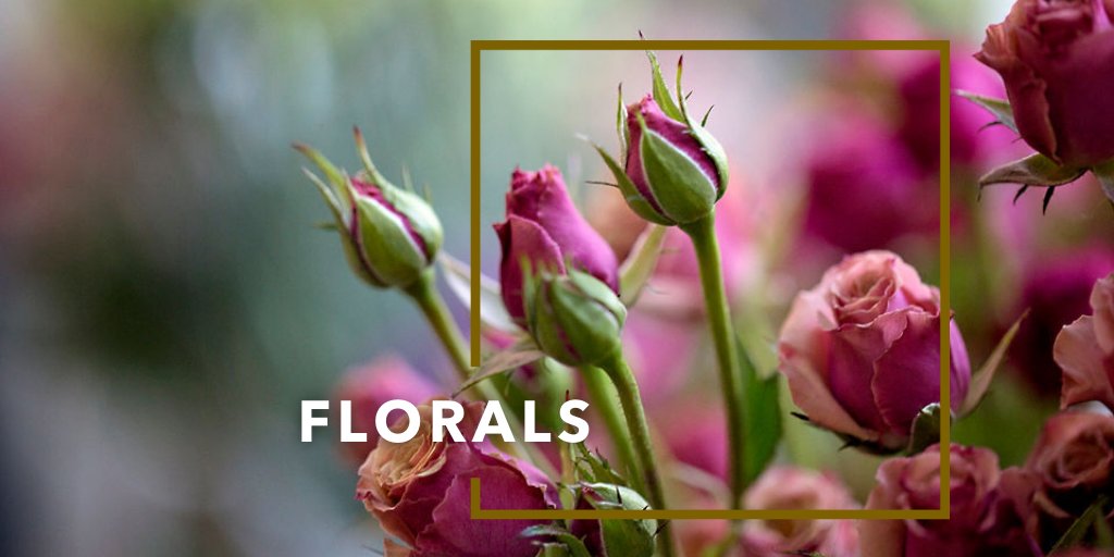 TheInsiderSA's tweet photo. “If we could see the miracle of a single flower clearly our whole life would change.” – Buddha  

What are your favourite flowers and why? #TheInsiderSA https://t.co/Wezuiz15X2