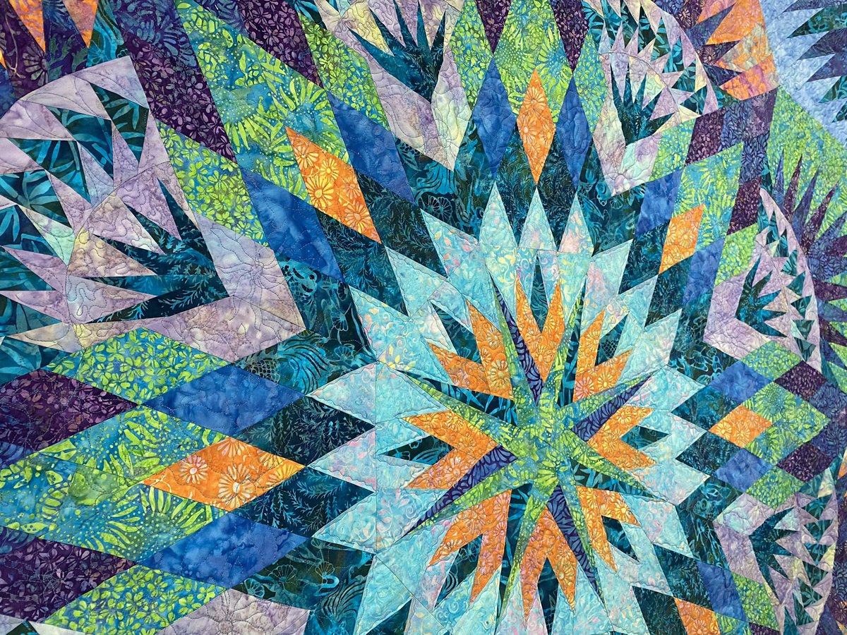 TheFabricPatch's tweet photo. Our paper piecing basics class still has a few spots! This quilt is a paper pieces Judy Niemeyer quilt Brianna did when she was only 13! https://t.co/DG5EX9OmIH https://t.co/XVWQViL44D
