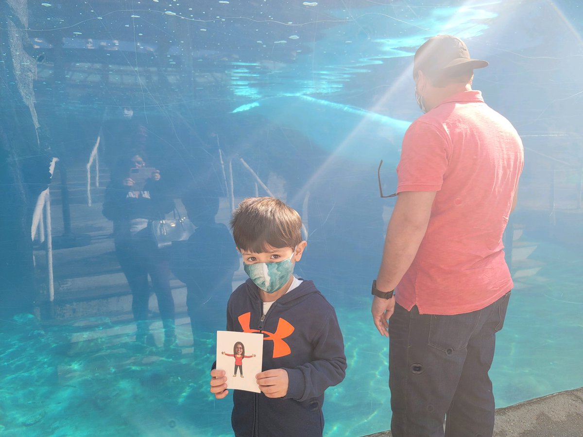 Mrs. Portillo tweet media