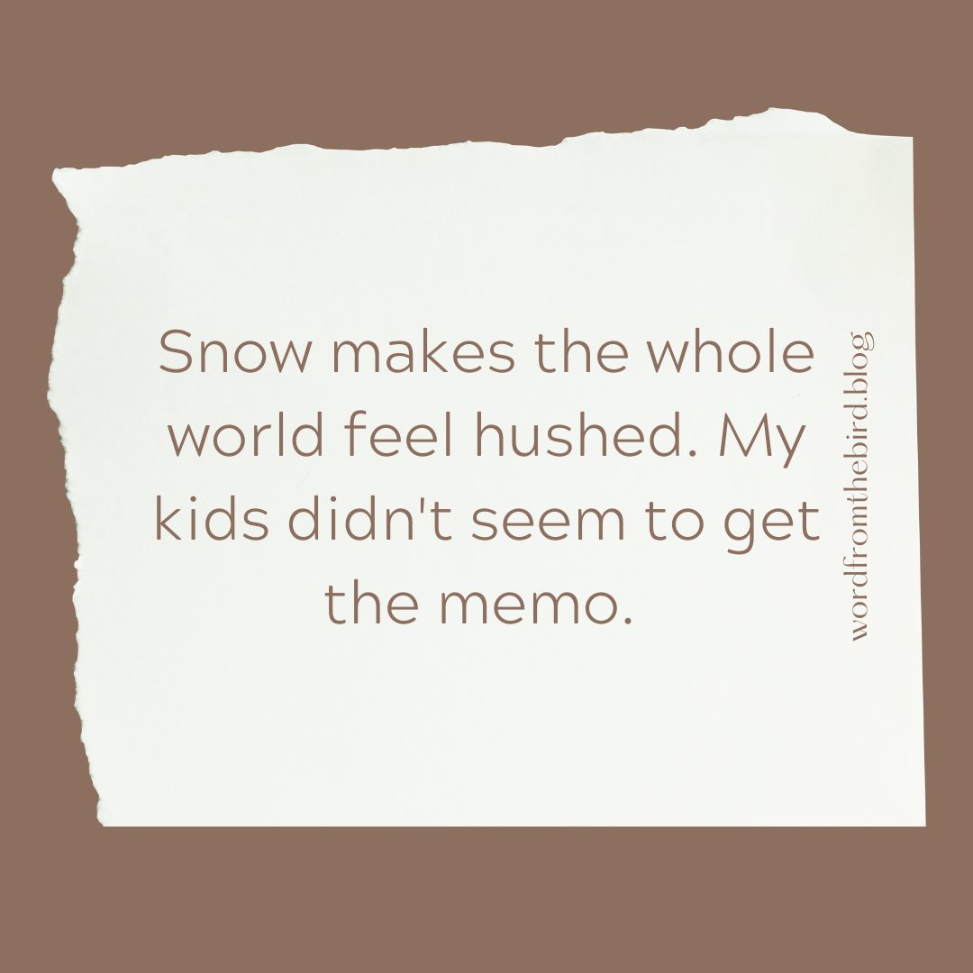 wordftbirdblog's tweet photo. Sssshhhhhhhh. https://t.co/6n3RdhLkUc