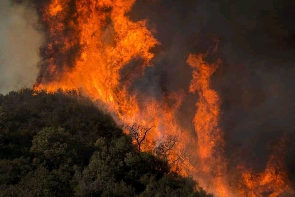 ArthSaj's tweet photo. #prayfornepal #PrayForNepal #SaveNepal 😓😓😓😓😓🙏🙏🙏🙏🙏🙏🙏🙏🙏🙏🙏🙏🙏🙏🙏🙏🙏🙏🙏My request to the whole universe raise your prayer together  pray for our country Nepal. #NepalGovernment take any chance of action.🙏🙏🙏🙏 https://t.co/PUfDKvgGL7