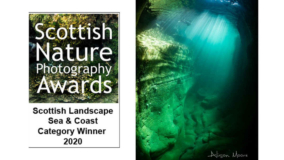 Absolutely delighted to announce that my underwater image 'Magical Cave' has won first prize in the <a href="/ScotNaturePhoto/">ScotNaturePhotoAward</a> awards. It's such an honour for my photographs to be recognised in this way alongside some other stunning pictures. We'll done to all of the deserving winners 😁