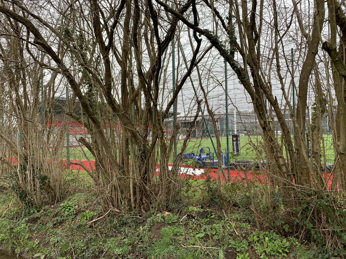 SmokeGreen12's tweet image. We came across the training ground of @dragonsrugby on today’s weedy walk. 

#RandomPlace #Wales
