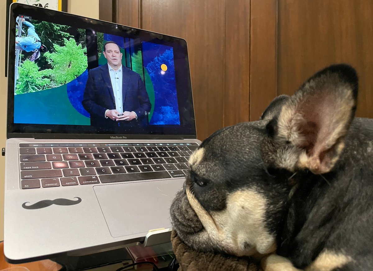 mikecolao's tweet photo. Dolce is all ears listening to @ChuckRobbins message at #CiscoLive2021 - Check out Cisco Live for the next two days! #LoveWhereYouWork #Cisco https://t.co/EGBOtXoD1G