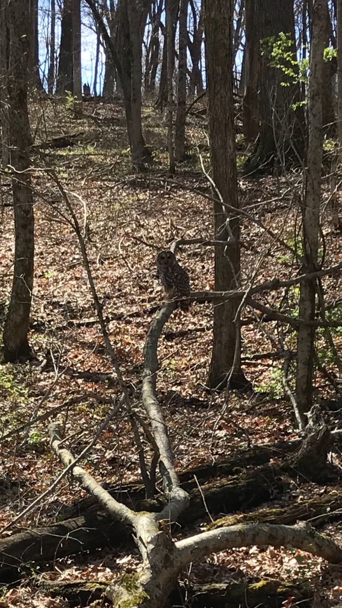 Alida Pinson Apadapd Twitter