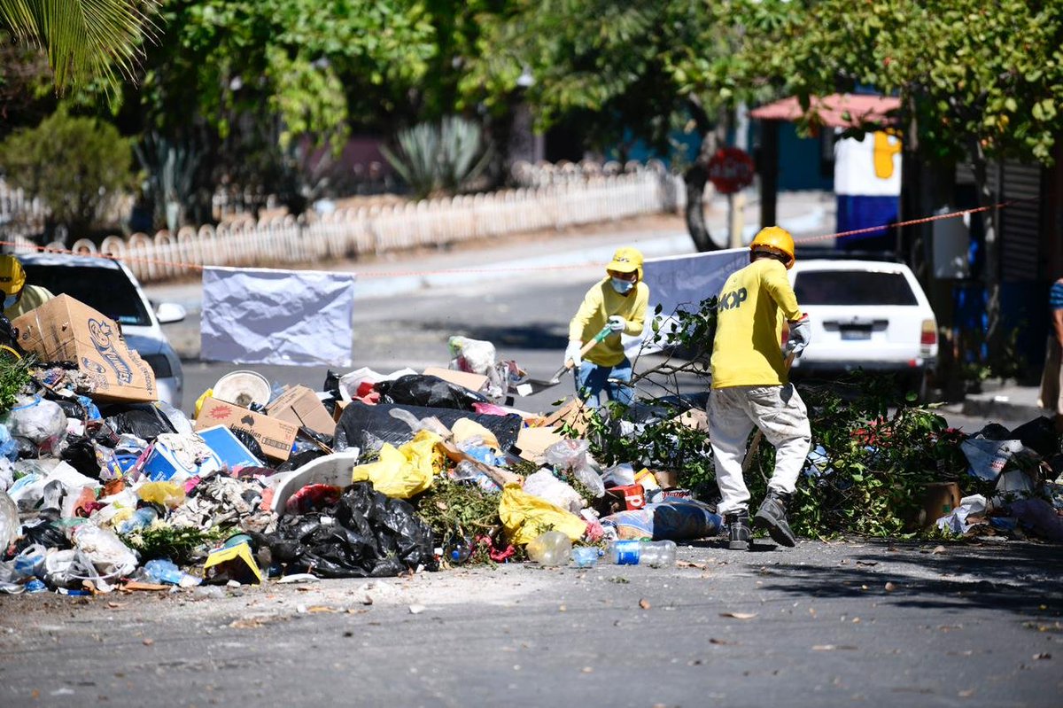 RomeoHerrera1's tweet photo. Hoy, ante la falta de recolección de los desechos sólidos por los alcaldes salientes; y ver el riesgo de insalubridad, decidimos intervenir y hacerles el trabajo.

No es posible que nuestra gente viva entre promontorios de basura.

Ya nos encontramos trabajando en Altavista. https://t.co/2vFUbmtpr6
