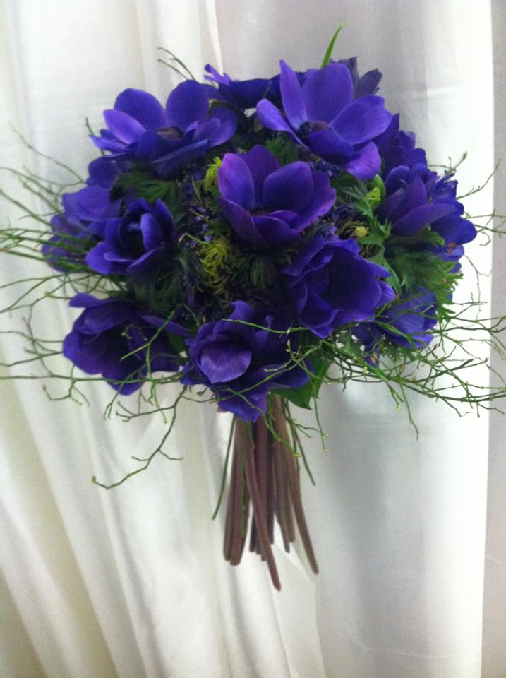 NMFlowerCo's tweet photo. See our Top Five Spring Flowers for 2021 on our company blog. 
Click here. 
https://t.co/wZD61aSQbv
#NMFlowerCompany #SpringFlowers #FlowerTrends #2021Trends #TopChoice #TopFive #Flowers #Florals #Bouquets #FlowerArrangement #LocalFlowerShop #NMFlorist #WeddingFlorist #Local #NM https://t.co/56fX5CVyLd