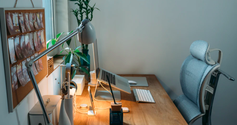 renocollective tweet media