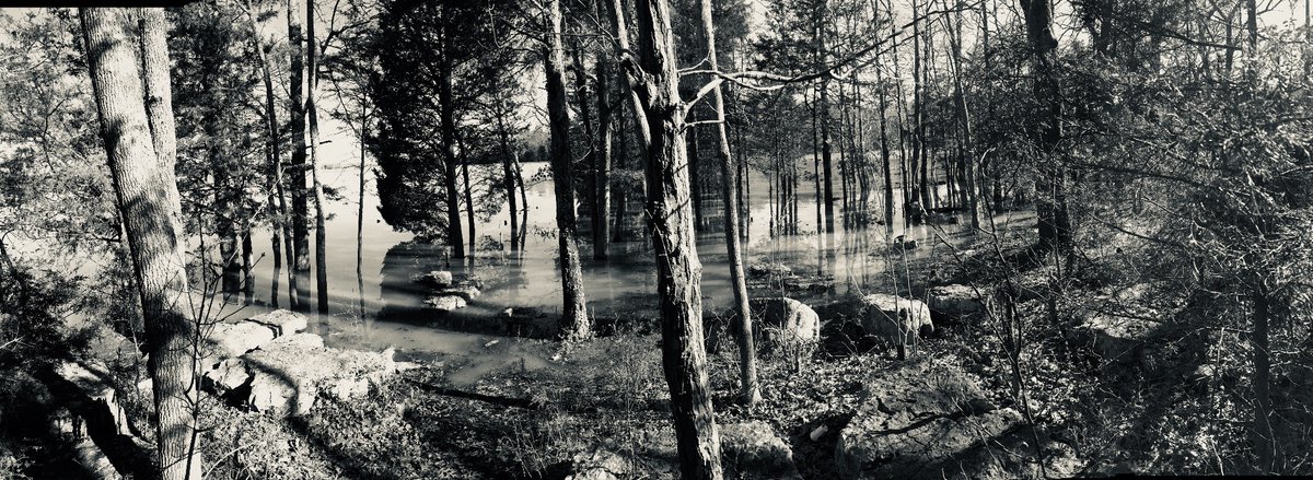 AstralStrikes's tweet photo. Weather cleared.
#nashville
#percypriest #blackandwhitephotography https://t.co/RPCPvDfnHm