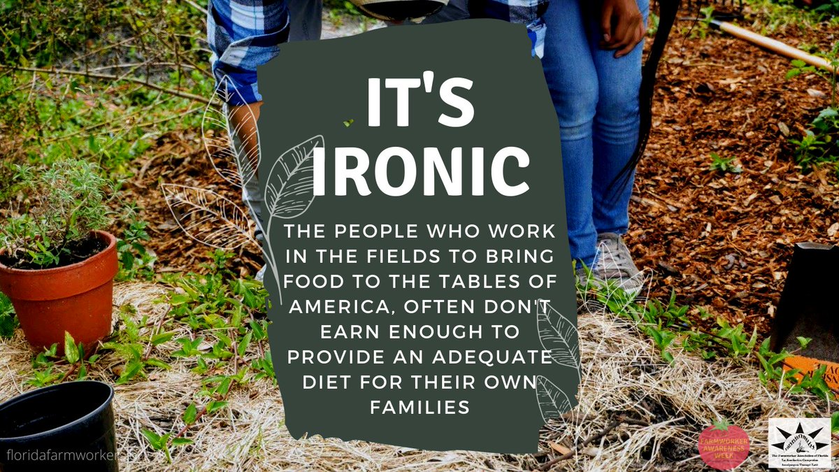 FWAFL's tweet photo. It’s ironic. The people who work in the fields to bring food to the tables of America, often don’t earn enough to provide an adequate diet for their own families.
#FarmworkersAwarenessWeek #NFAW2021 https://t.co/KlCZlF4G9I