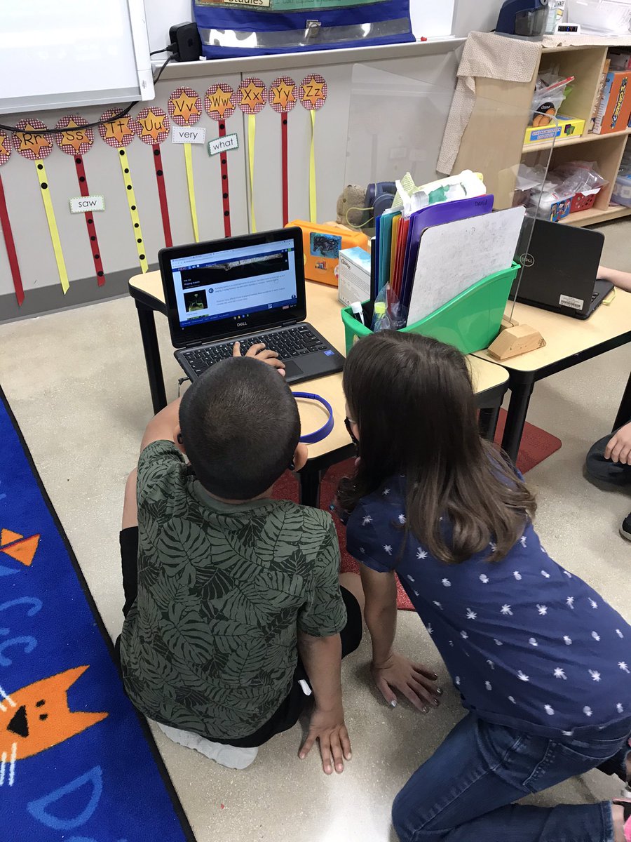 These Firsties are SO excited to learn more about these egg sacs that arrived in all of our classes this week! <a href="/worldbookinc/">World Book</a> to the rescue!!! #fabrafalcons #researchcollaboration <a href="/FabraElem/">Fabra Elementary School</a>