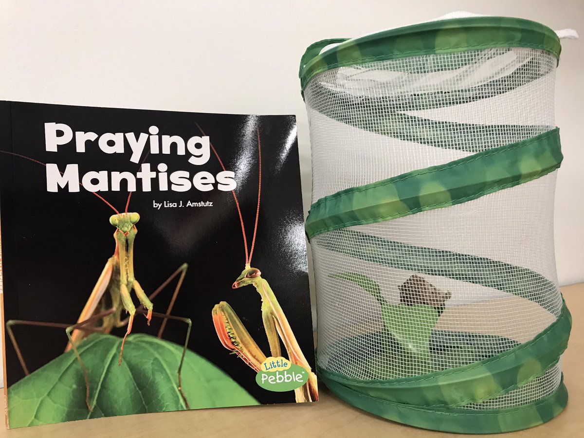 Fabra First Grade tweet media