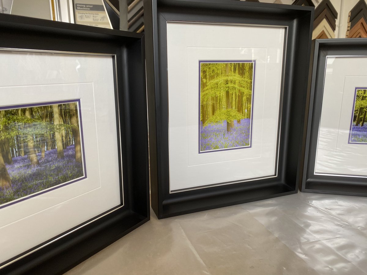 YPFOld's tweet image. A group of 3 bluebells in woods with wide black frame and a simple groove in the mount all returned to a very happy customer.
#WorcestershireHour
