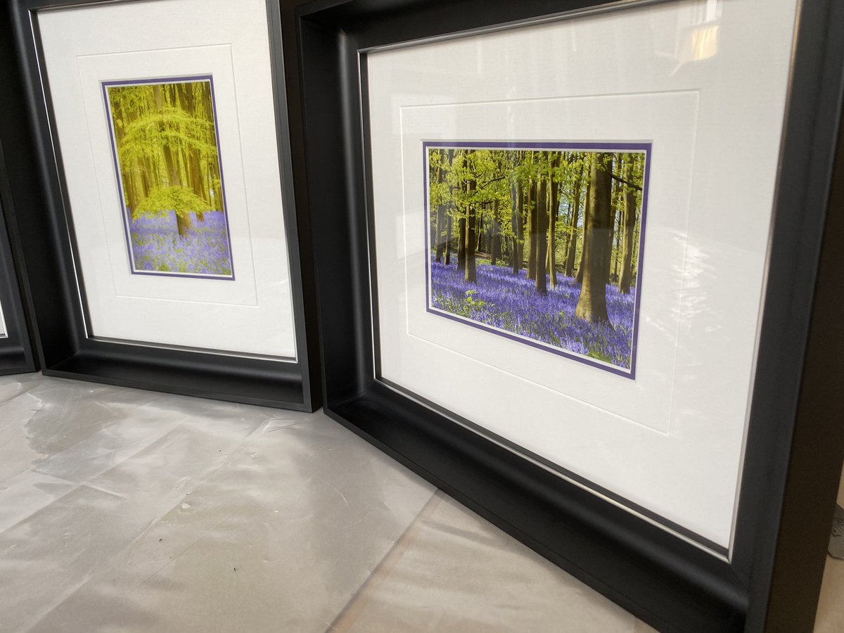 YPFOld's tweet image. A group of 3 bluebells in woods with wide black frame and a simple groove in the mount all returned to a very happy customer.
#WorcestershireHour