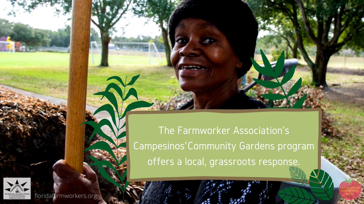 FWAFL's tweet photo. The Farmworker Association’s Campesinos’ Community Gardens program offers a local, grassroots solution. #FWAF
#FarmworkersFeedTheWorld https://t.co/UV5IU0X7QE