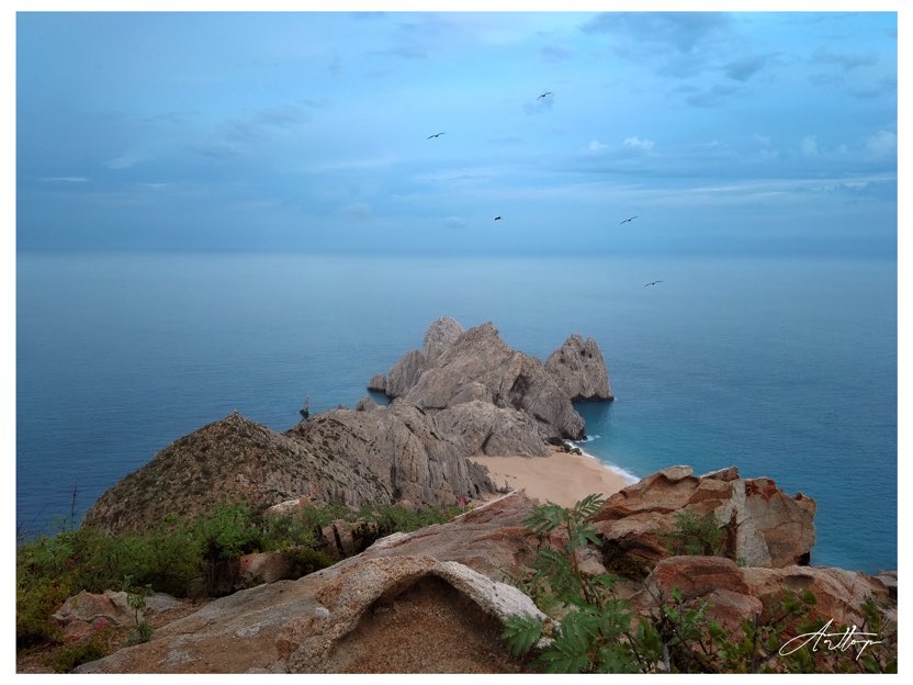 arpezcr's tweet photo. Gran vista de nuestro bello sitio #LosCabos https://t.co/pZGx63p3wM