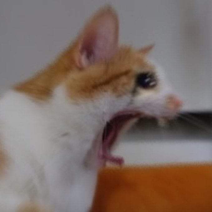 Iithefairy's tweet image. 