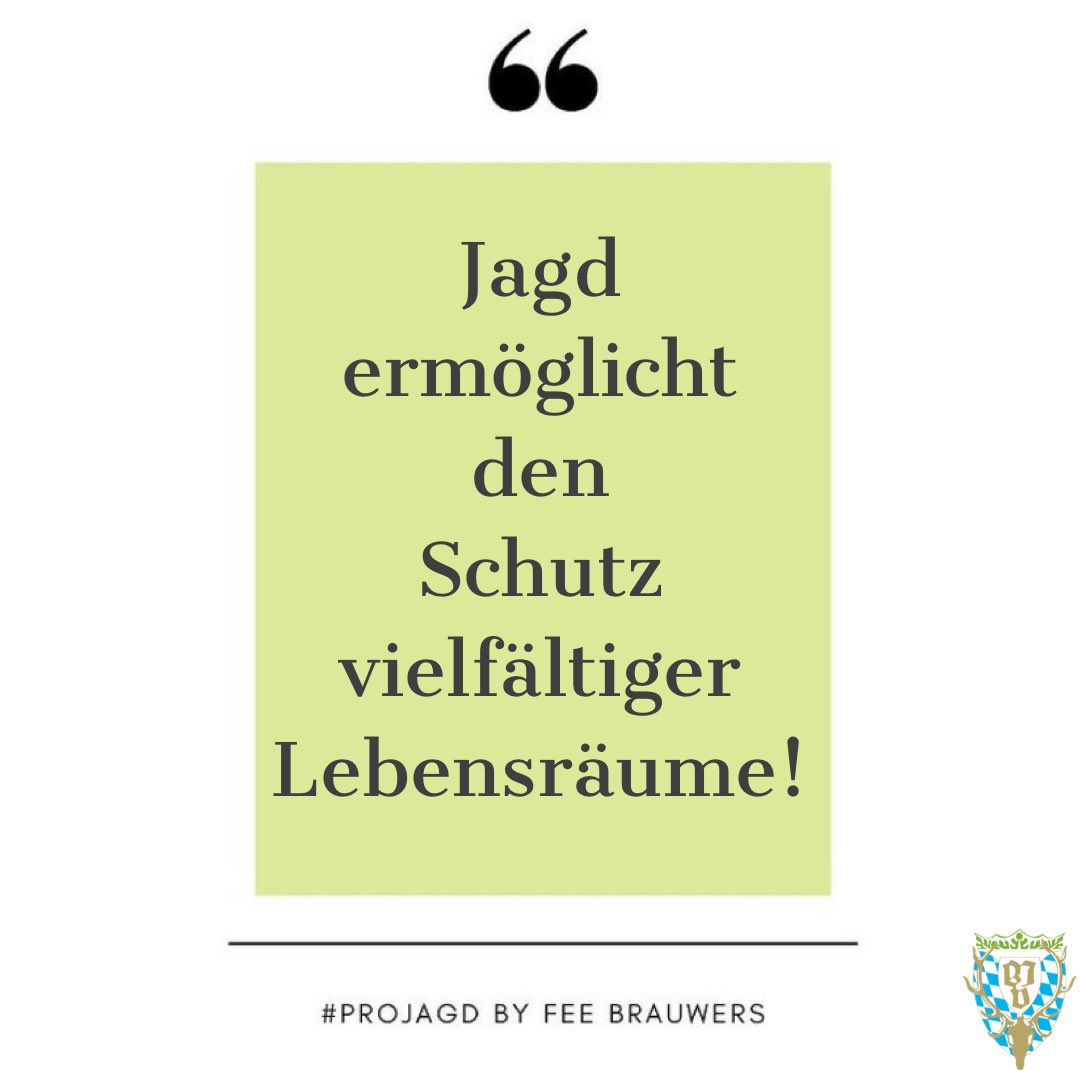 BayerischerJagdverband (@jagdverbandbjv) on Twitter photo Jagd ermöglicht den Schutz vielfältiger Lebensräume! #waldmitwild Jagd ermöglicht den Schutz vielfältiger Lebensräume! #waldmitwild