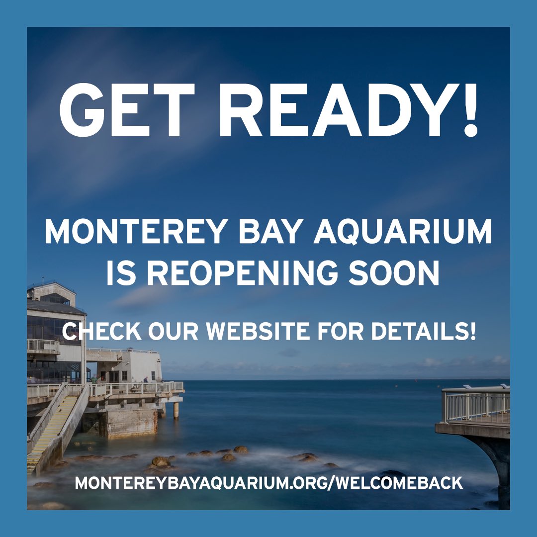 Monterey Bay Aquarium tweet media