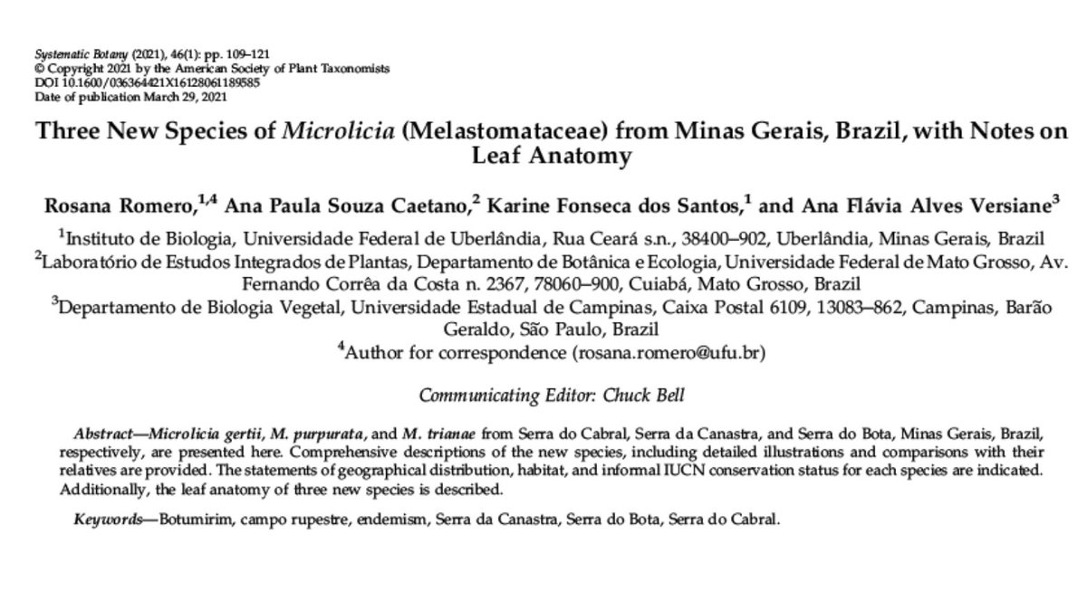 anafversiane's tweet photo. Yesterday our article w/ three new species of #Microlicia was published in #SystematicBotany. Microlicia gertii, M. purpurata, and M. trianae are endemic to the campos rupestes in Minas Gerais, Brazil. Romero, Caetano, Fonseca & Versiane.
Check it out!!
https://t.co/TZp5GlL6YZ https://t.co/lAwEG3S8vY