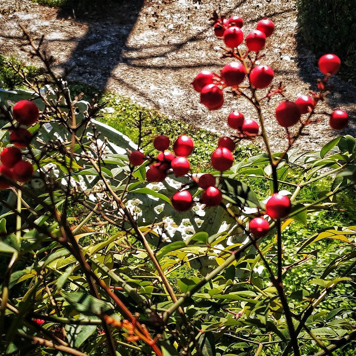 Sedersi su una panchina nel nostro parco-giardino e respirare la primavera. 🌱 Non vediamo l'ora di poter nuovamente condividere questa bella sensazione con tutti voi! 🤗