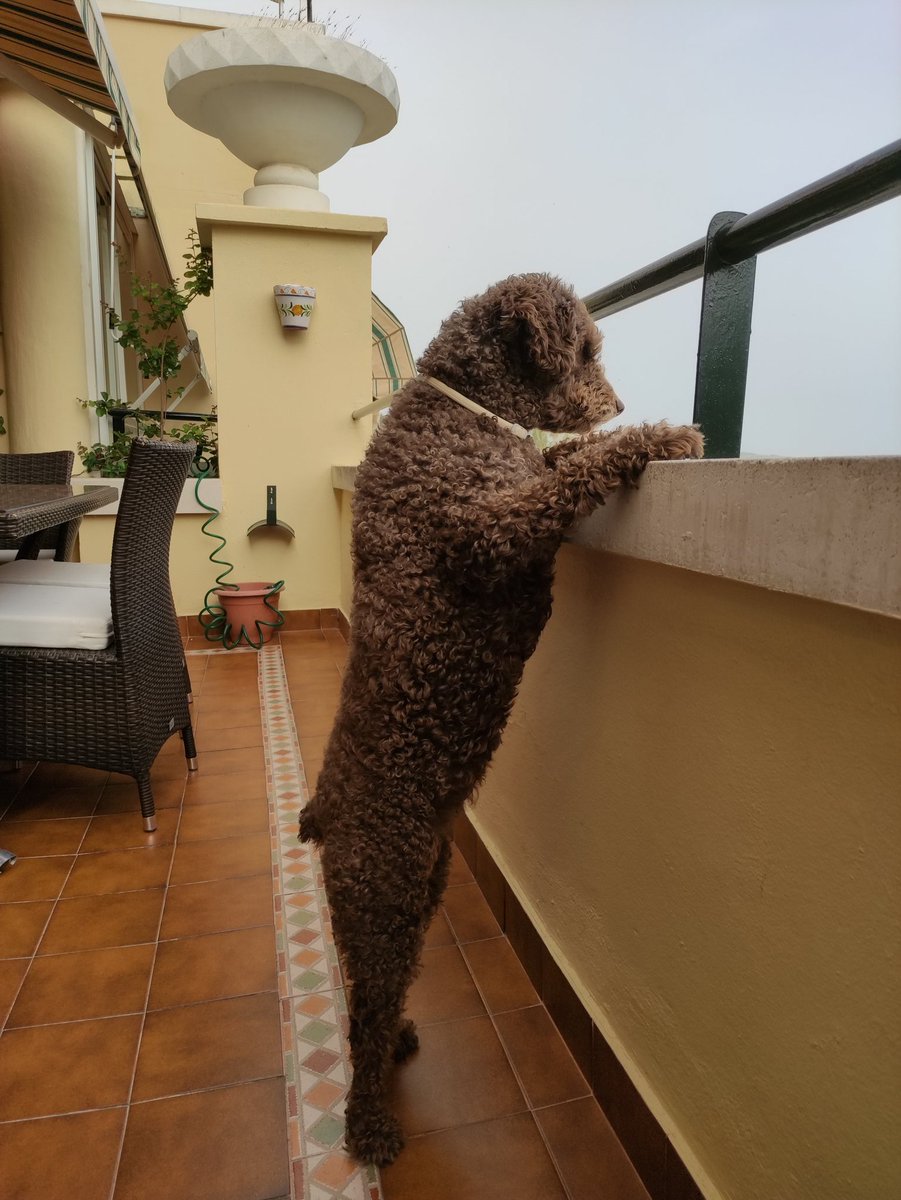 José.Mª Carrera tweet media