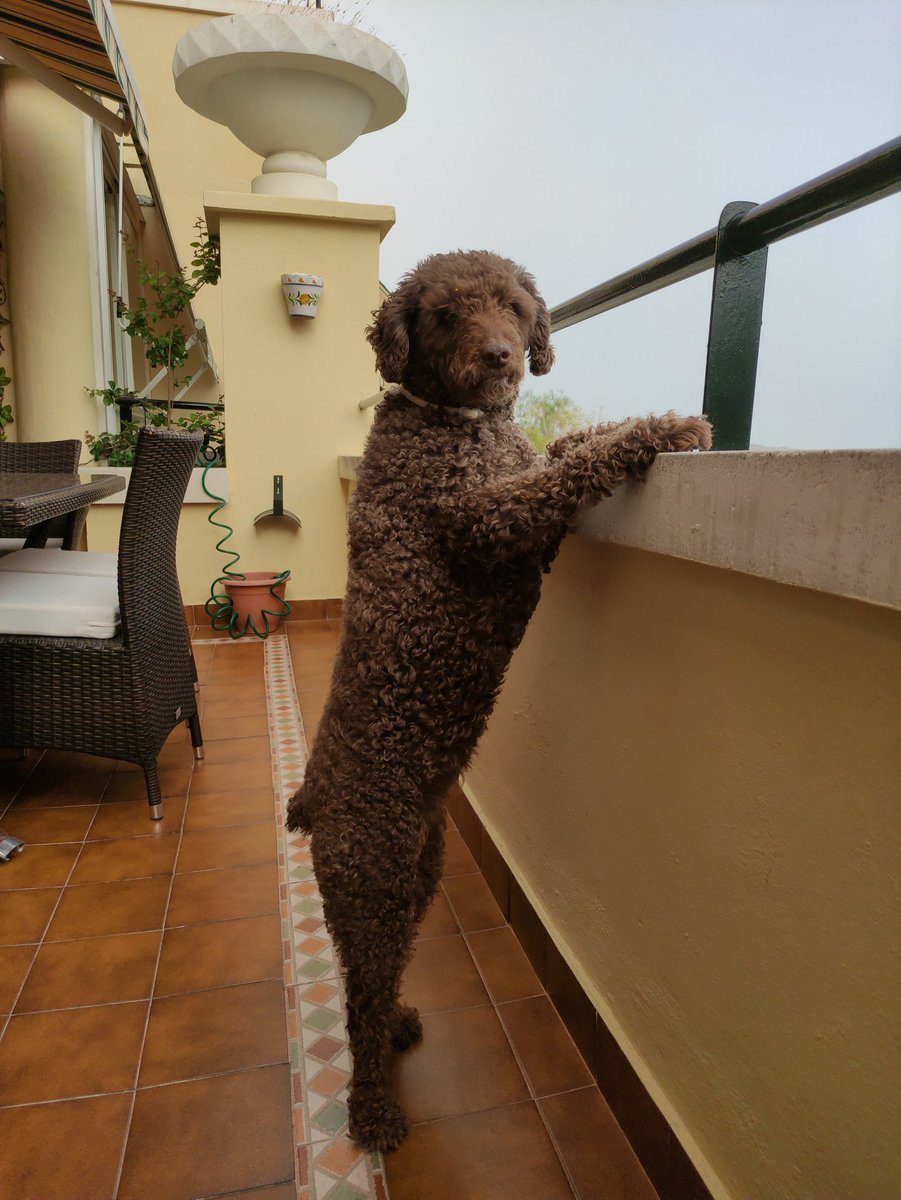 José.Mª Carrera tweet media