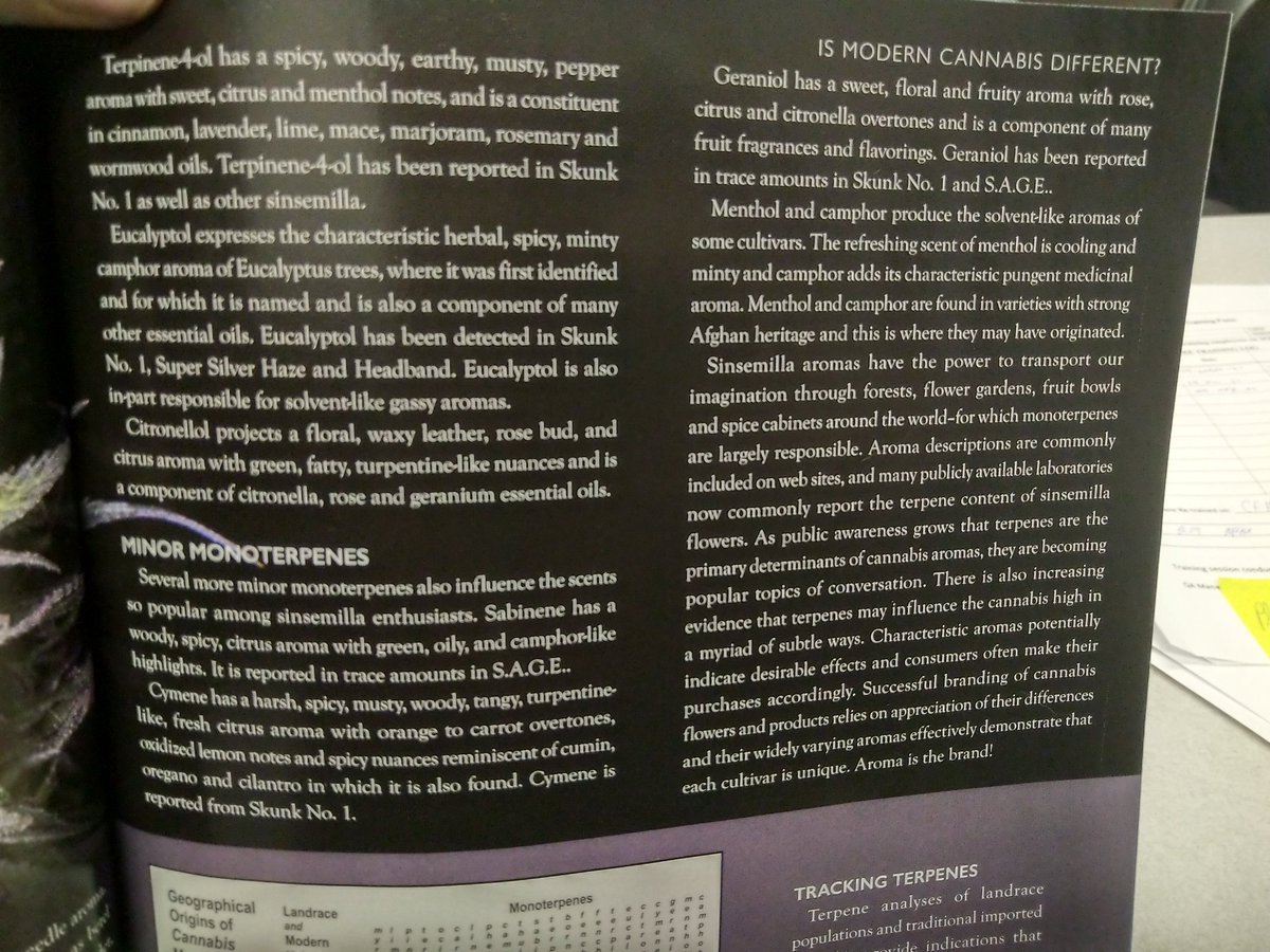 TempleGrower's tweet image. 2/3 Moar #monoterpenes! Working in hemp #CBD extraction, I can say the most prevalent I notice from the oil produced is Camphene/Eucalyptol. Pungent!

#AlphaPinene #Terpinolene #Ocimene #Carene #Linalool #Phellandrene #Camphene #Cymene #Geraniol #Eucalyptol #Sabinene #Citronellol