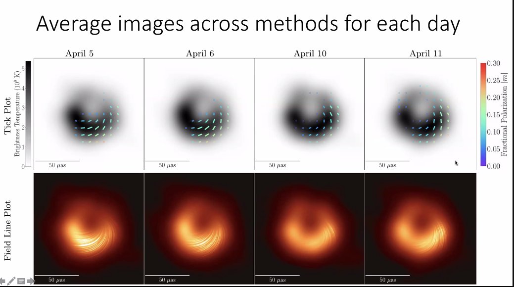 Feryal Ozel tweet media