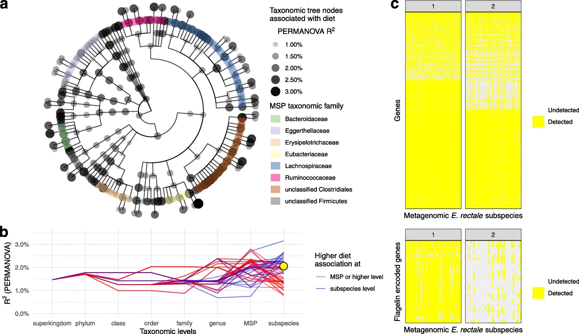 metaspecies pangenomes diet flagelin