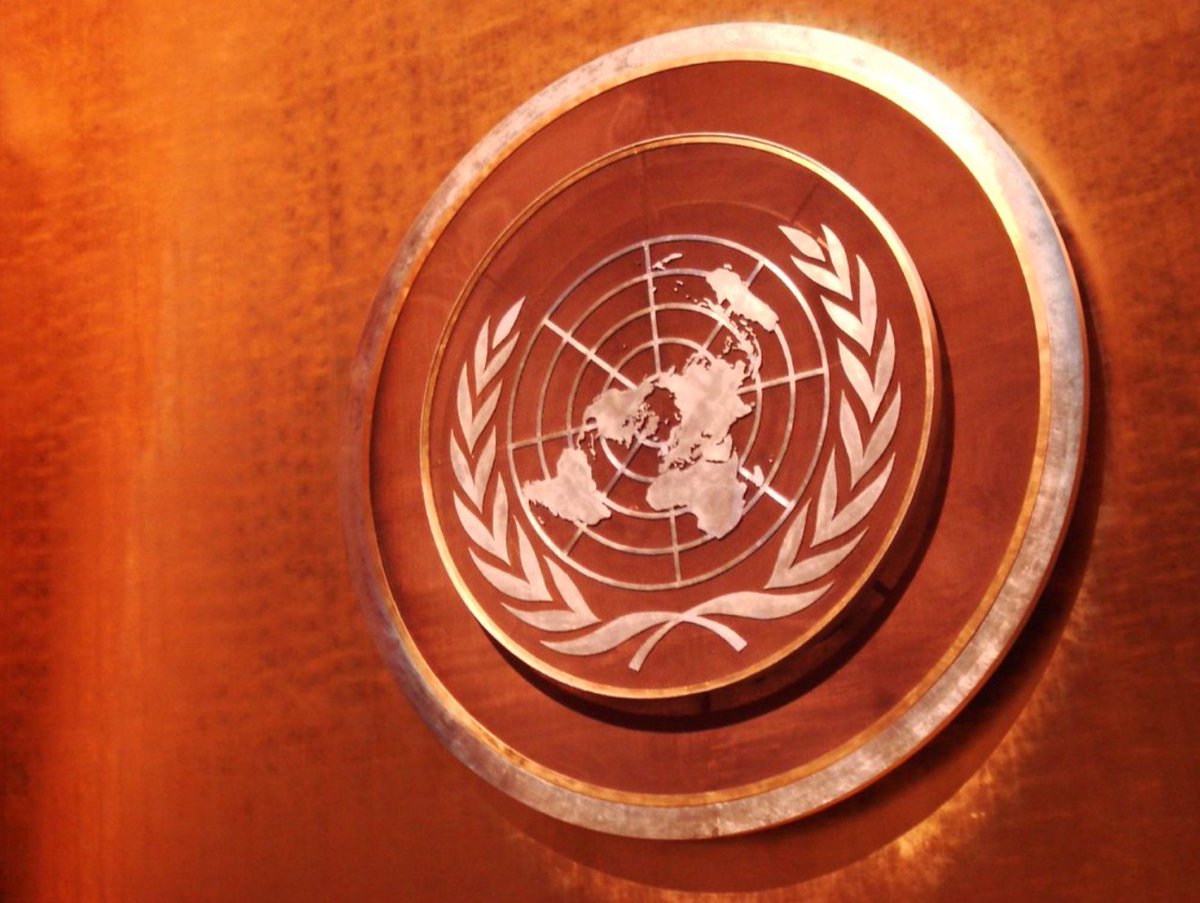 GoetheGoesNMUN's tweet photo. NMUN has started! Our delegation is very excited to be part of this event, gathering hundreds of university students from all around the world. What we can already conclude: Whether virtual or in presence, the conference remains a unique experience! https://t.co/IutqD2ceJ2