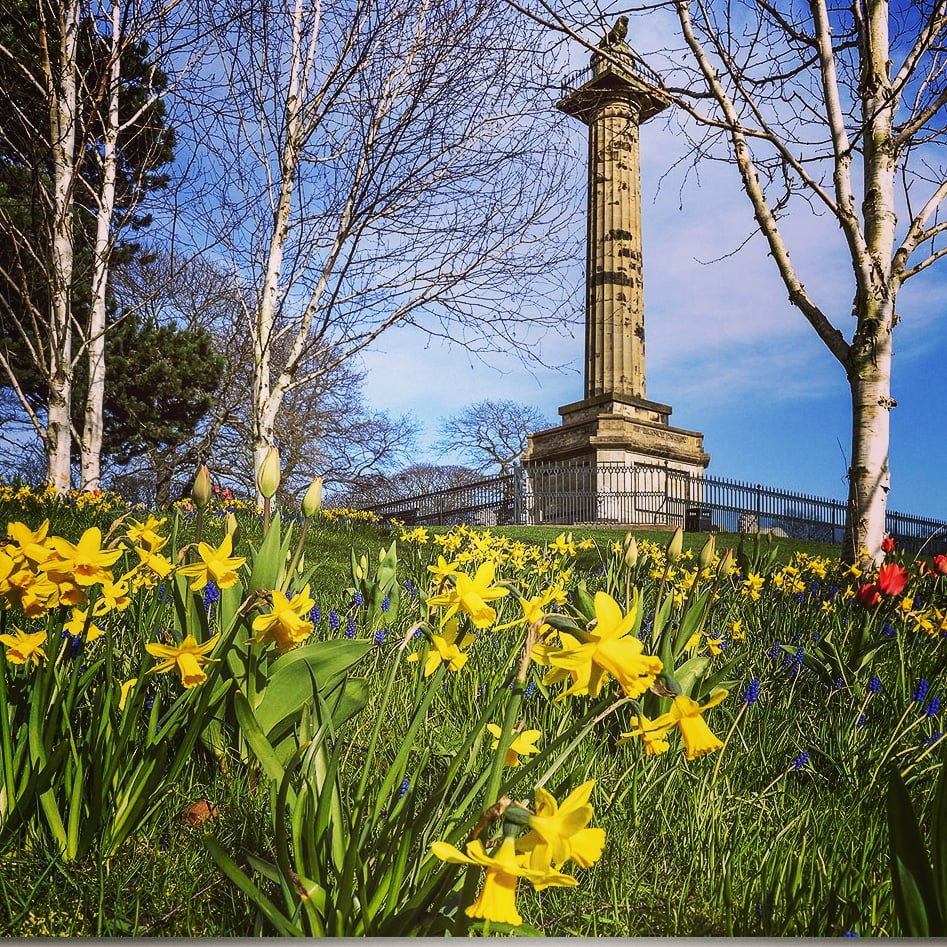 Spring loveliness in #alnwick ... 
<a href="/TeamAlnwick/">Alnwick Community</a> <a href="/AllAboutAlnwick/">All About Alnwick</a> <a href="/DiscoverAlnwick/">Discover Alnwick</a> <a href="/moreAlnwick/">Alnwick TIC</a> <a href="/VisitNland/">Visit Northumberland</a> @NlandTourism <a href="/discovernland/">Discover Northumberland</a> <a href="/NorthEastTweets/">North East Tweets</a> <a href="/thenortheastHUB/">The North East HUB</a> <a href="/NorthEastBuzz/">Sky</a>  <a href="/NEFollowers/">#NEFollowers</a> @northcoastaonb  <a href="/NNTourism/">North Northumberland</a> #northumberland  <a href="/N_landCouncil/">Northumberland County Council</a> #lovenorthumberland
