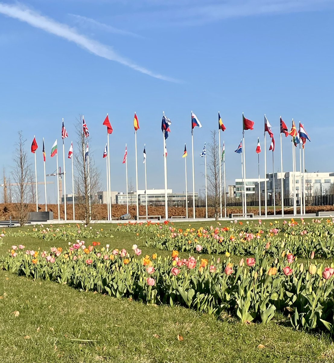 It’s good to have friends! 17 years ago on March 29, 2004 #Estonia together with #Bulgaria, #Latvia, #Lithuania, #Romania, #Slovakia and #Slovenia became members of #NATO.