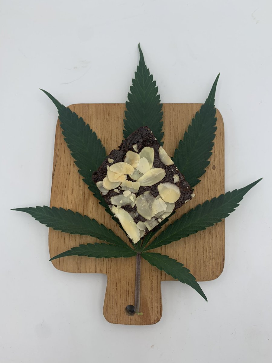 drgreenthumbth's tweet photo. Brownie หน่อยมั้ยครับ
#Drgreenthumb
#Growstone #CannabisMedicinal
#cannabis
#Weed
#CannabisCommunity
#ปลูกกัญชาถูกกฎหมาย
#กัญชาออแกนิค
#กัญชารักษาโรค
#กัญชาเพื่อการแพทย์
#newnormalproject https://t.co/KV8Xo7JjHl