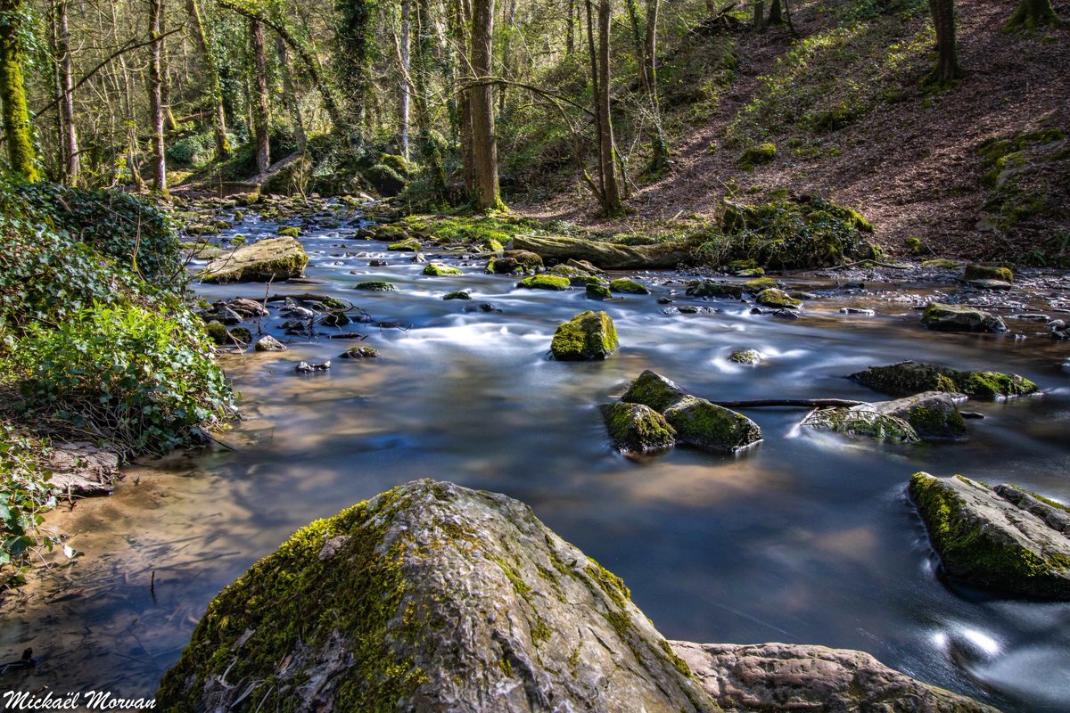 morvan_photo's tweet photo. Balade en fin d’après-midi à La Brèche au Diable #potigny #soumontsaintquentin #calvados #lelaizon #bassenormandie #normandie #poselongue #labrècheaudiable #cascade https://t.co/GmwkcYOO3V