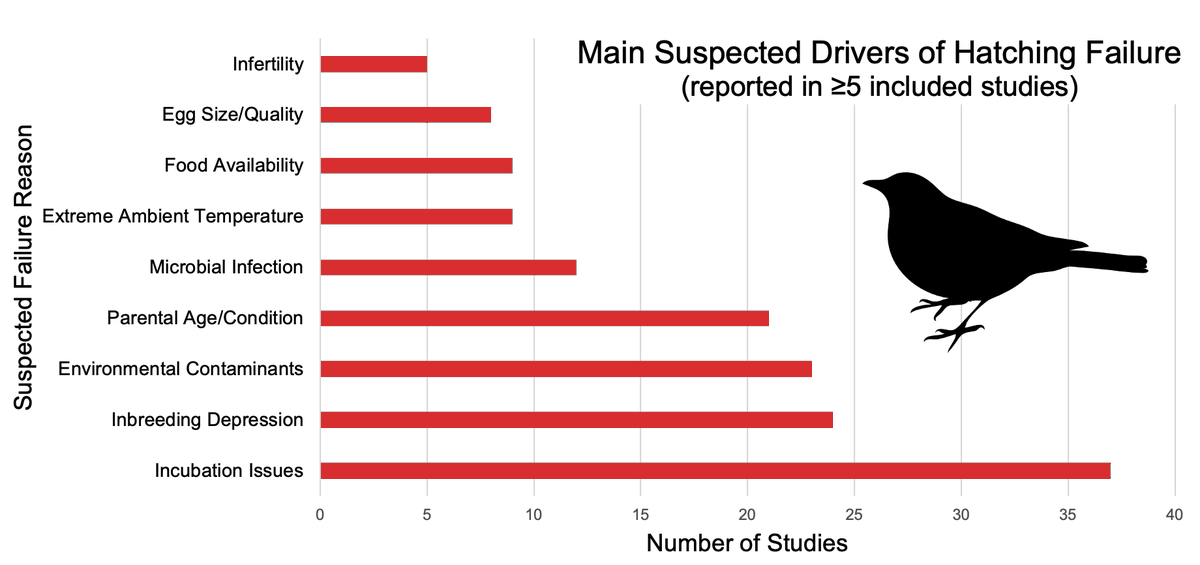Belfast_Ash9's tweet photo. [4/6] #BOU2021
A variety of suspected drivers of failure were reported, with the leading reasons being #pollution, #InbreedingDepression, &amp; #incubation problems. However, despite being suspected as drivers these factors weren't always fully tested or supported by the data. https://t.co/BUrTULo0iv