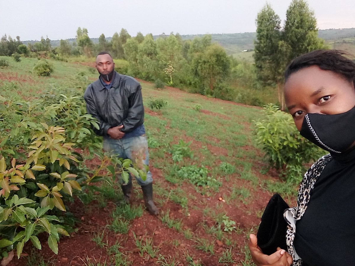 Grineza's tweet photo. @MugwanezaFarm @RwandAgriExport @YEAN_Rwanda @ryaf_agribiz @KayonzaDistrict @REMA_Rwanda @RICA_Rwanda @MugwanezaFarm, keep your hard work, I am really excited with the project and I am proud of being your business coach- mentor! https://t.co/7Ka5FiFNpV