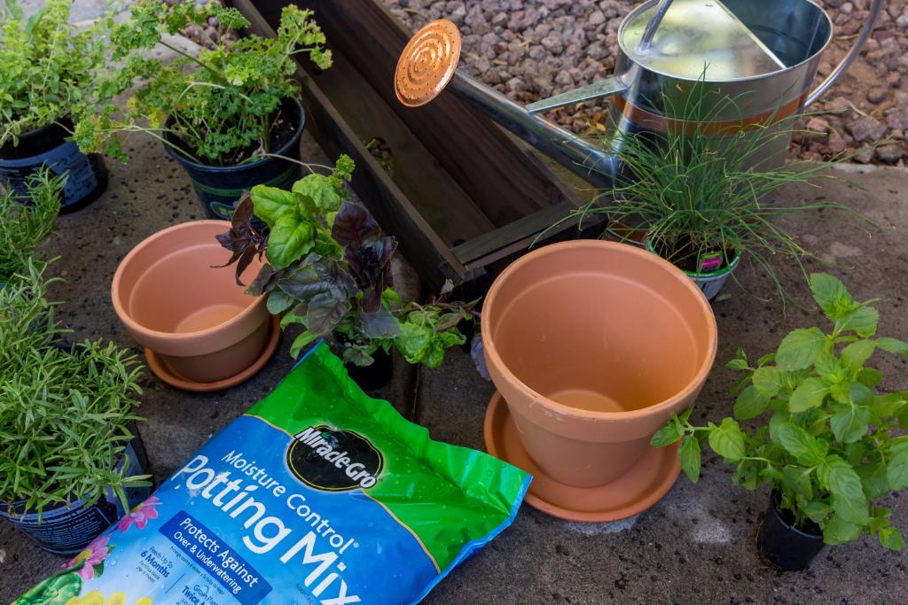 Miracle Gro Get Your Container Or Raised Bed Garden Off To A Solid Start By Using The Right Soil For Containers Use Potting Mix For Raised Beds Use A