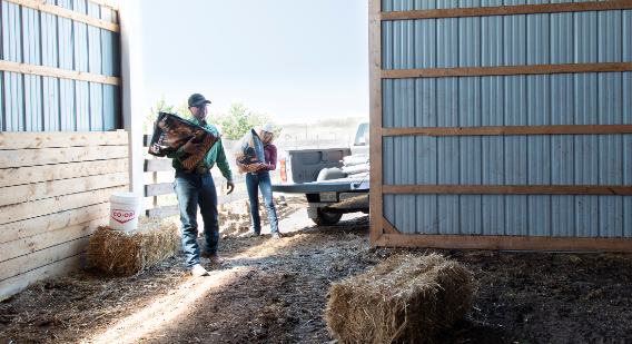 coopagro_crs's tweet photo. Co-op Whole Earth feeds are free of animal by-products, antibiotics and medications. Instead, natural ingredients provide better disease resistance and nutrition. Talk to your local #FeedTeam member to learn how to provide the best quality feed.
https://t.co/fwZ0bRRsaB https://t.co/JbocbZPsQd