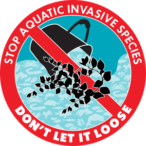 DFO_MAR's tweet photo. ⚠️If you purchased a moss ball in #NS or online we urge you to take the appropriate steps to treat and dispose of the product &amp; your aquarium water responsibly, to prevent the spread of the #invasive Zebra mussel https://t.co/kODj70aK0E