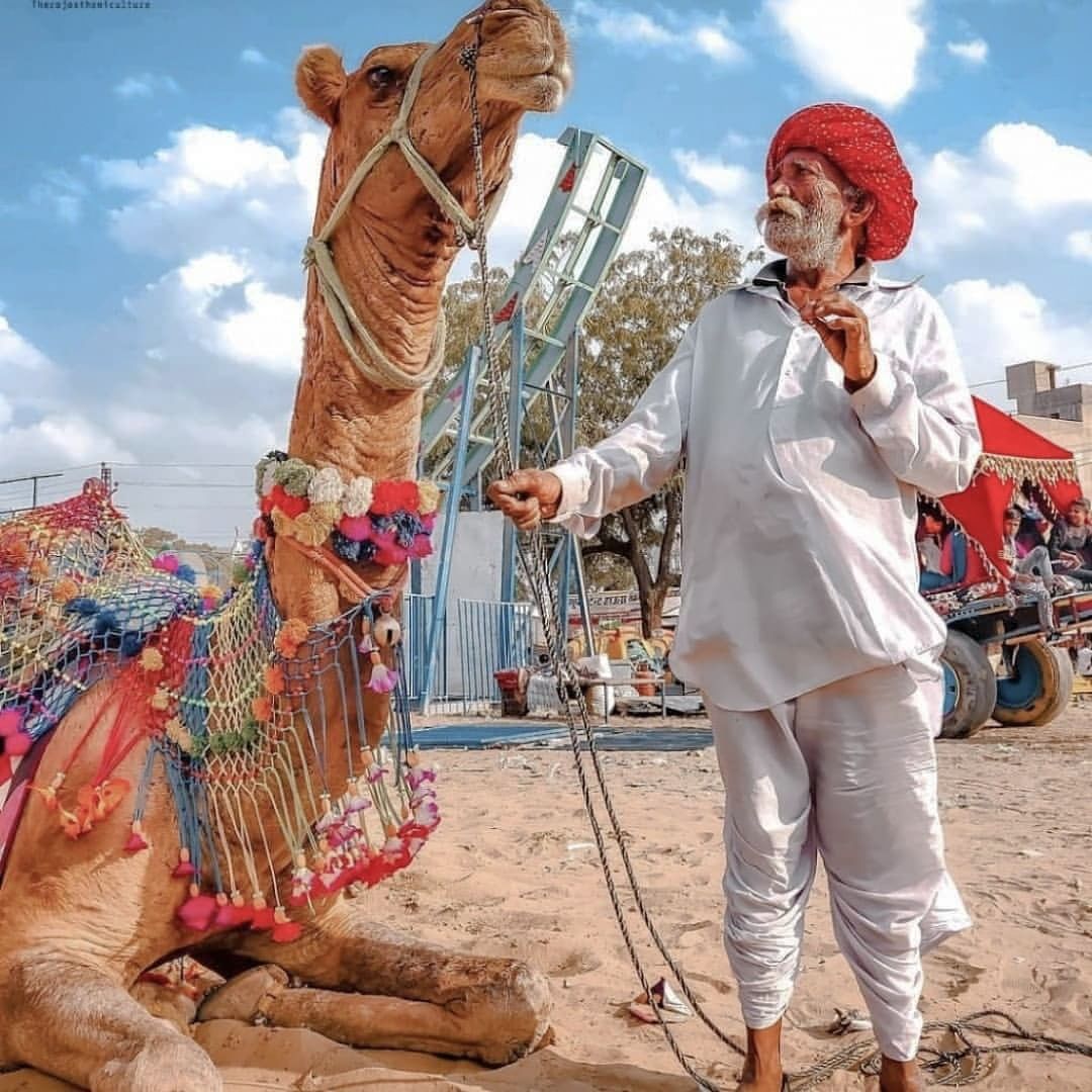 AdfjStudios's tweet photo. Splendid &amp; Mesmerizing. The scenic beauty and people of Rajasthan will leave you in awe! Rajasthan with its deep-rooted culture and traditions boasts its rich history with a story around every corner. Rajasthan Day 2021.

#rajasthanday #rajasthantourism #rajasthan #adfjstudios https://t.co/kxNivkfWx7
