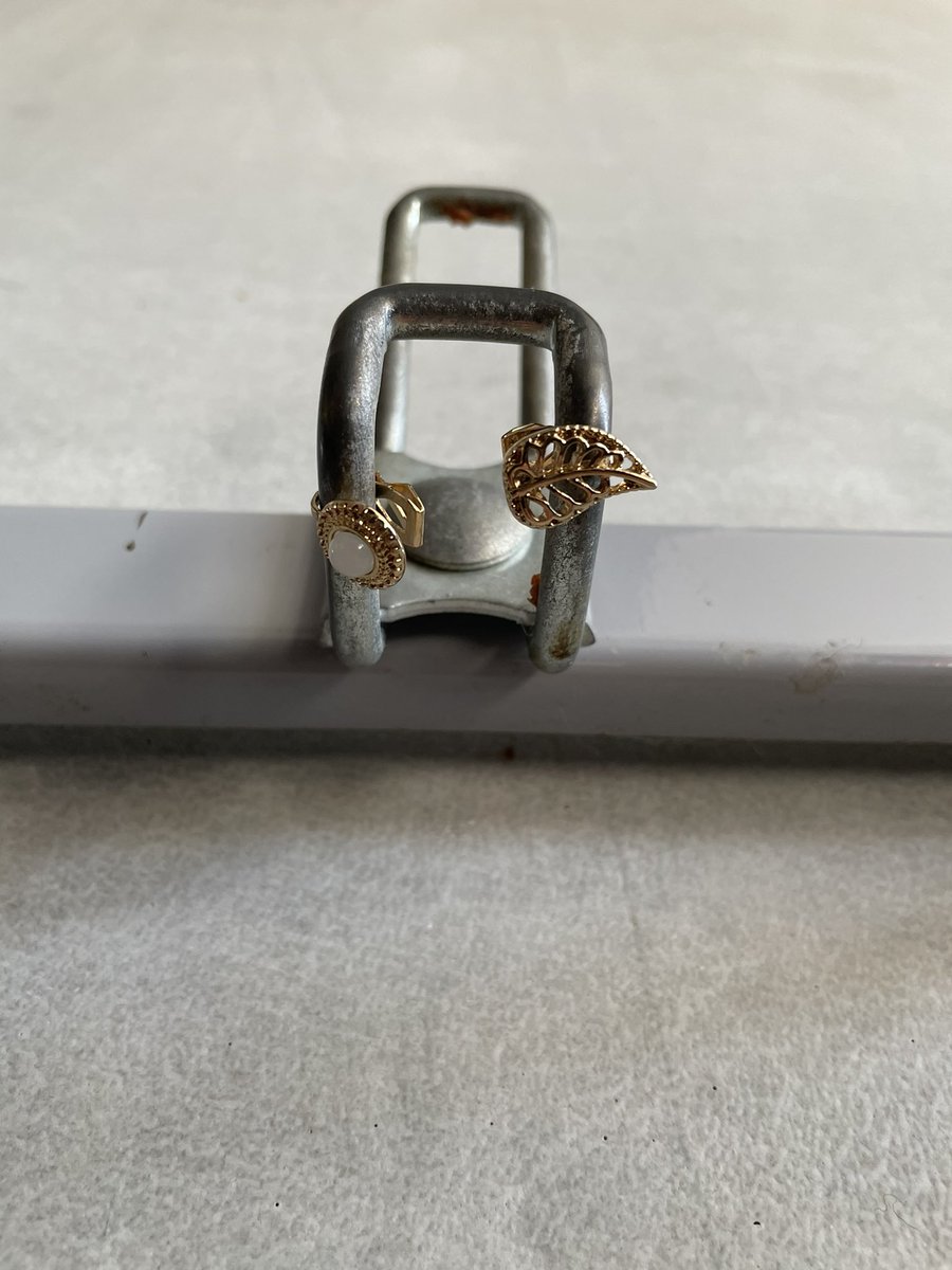 LeonRoessel's tweet photo. J’ai trouvé c’est deux boucles d’oreilles accrochées sur les crochets dans les vestiaires du gymnase, ils sont dans le bureau des profs, donner à M. Schalck rt svp https://t.co/EefJSHBymj