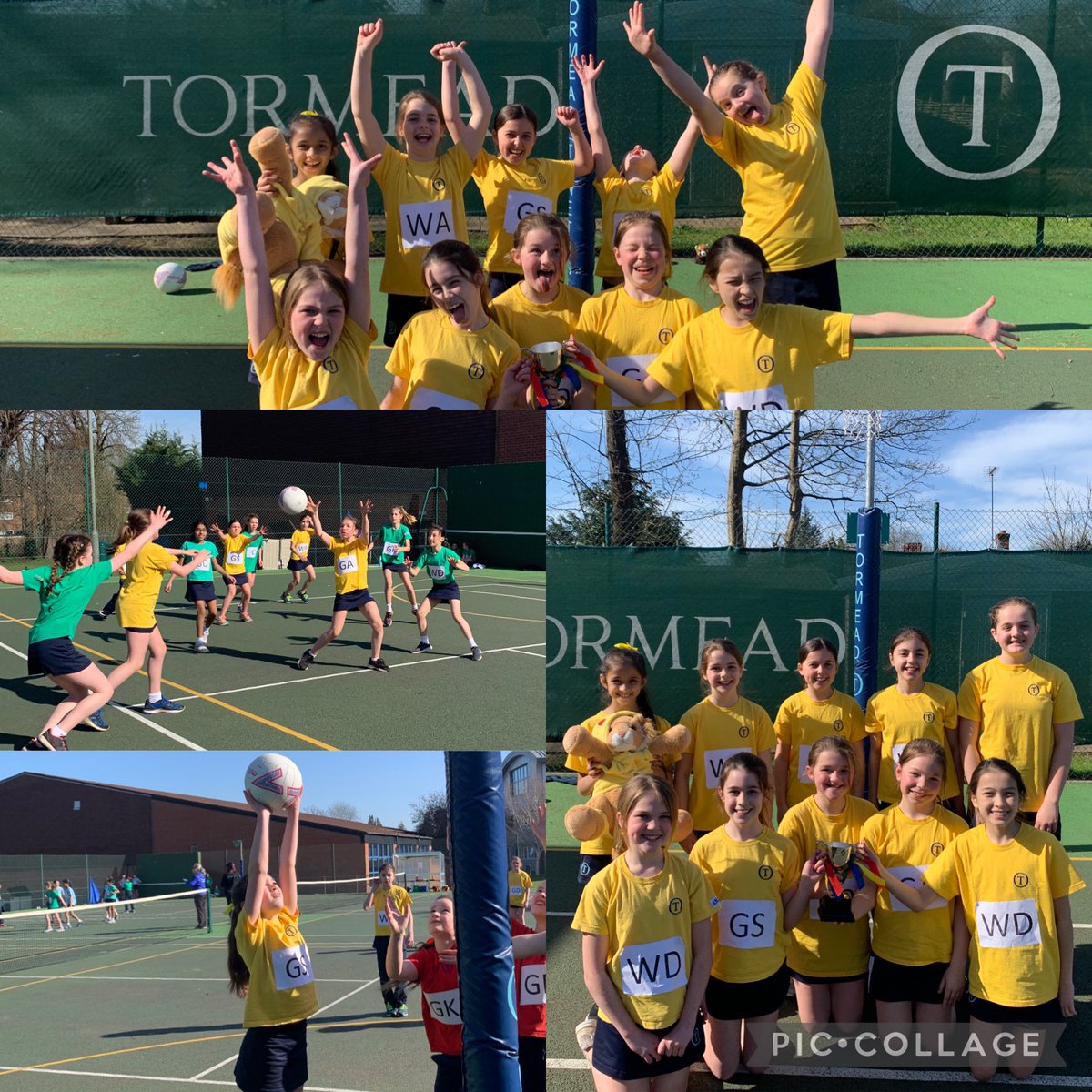 Tormead_Sport's tweet photo. What a super display of house netball this morning! An excellent way to finish the term off and year 6’s netball journey at @Tormead_JS! Special mention to MacArthur for winning the year group on goal difference! Final overall results announced tomorrow!! #tormeadtogether https://t.co/8ZWyRQSDQx