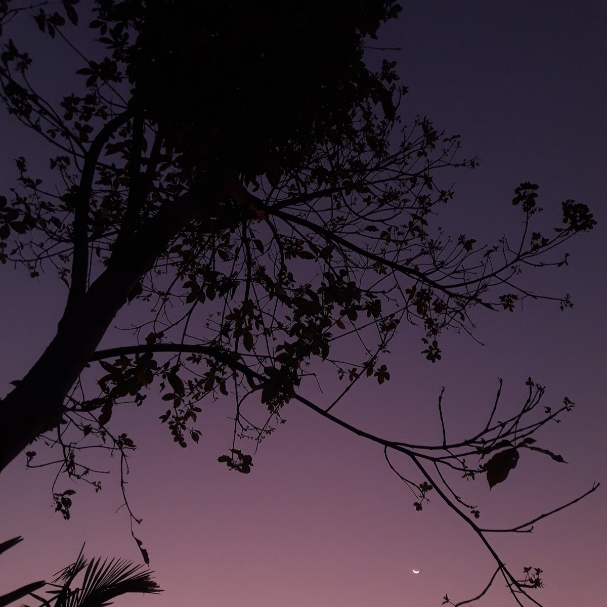 Mr_Jiminn's tweet photo. 🐨"Let’s look at the sky and have strength. I’m just Happy that we’re together" 💜❕

#PrettySkyForRM https://t.co/LDBubFqDYX