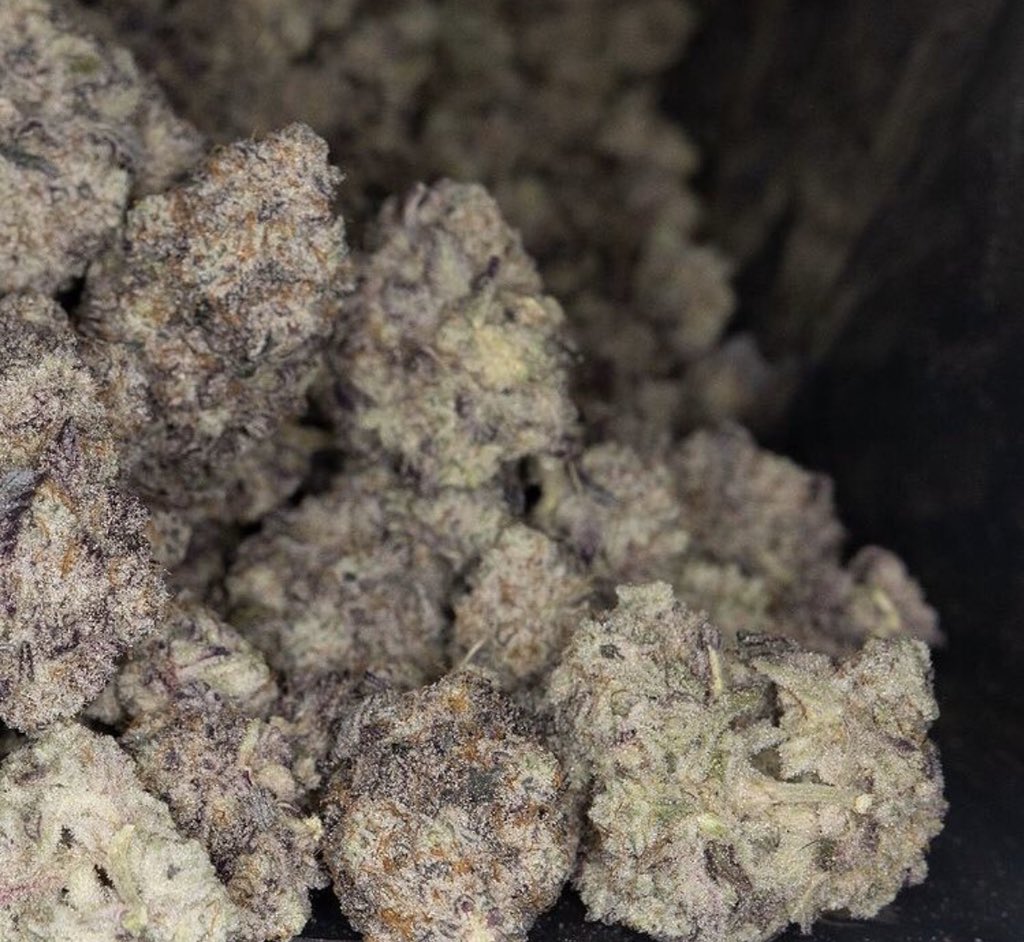 Topshelfatx1's tweet photo. Animal cookies #cannabisculture #cannabiscommunity #Mmemberville #dank #downtownaustin #leafly #sherbert #gelato41 #dosido #tangie #topshelfindoor #jungleboys #cannabis #freetheweedintexas #atx #austin #austintexas #downtownaustin #laketravis #texas #austintx #bernerscookies https://t.co/kZjAlqaAbe