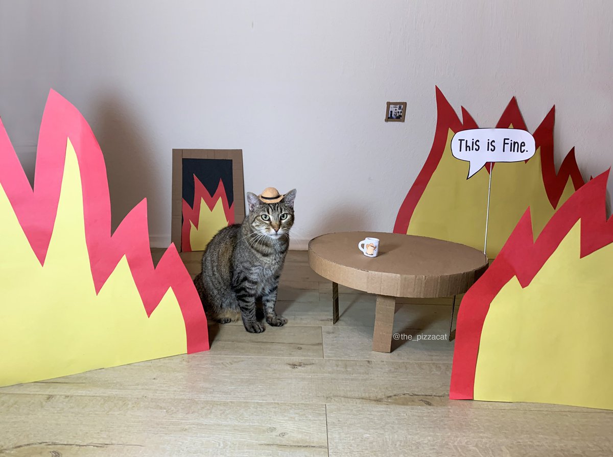 ratemyskyperoom's tweet image. This is fine. Cat version. Love the table. Depth. 10/10 @THE_PIZZACAT