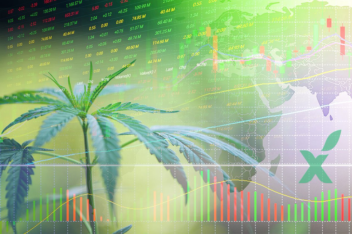 Citizen Stash Cannabis Corp. tweet media