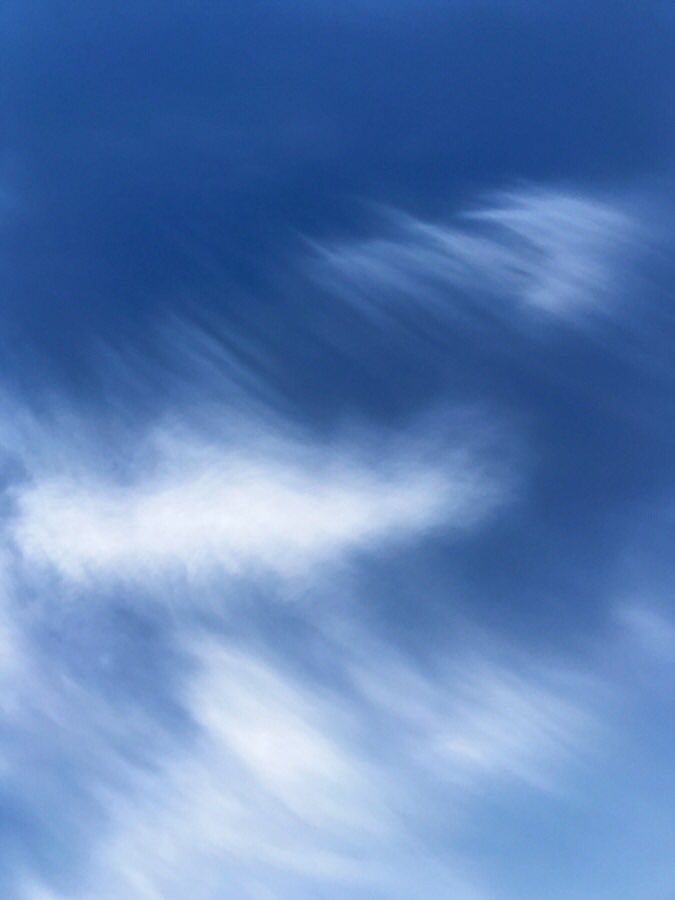 goldendye tweet media