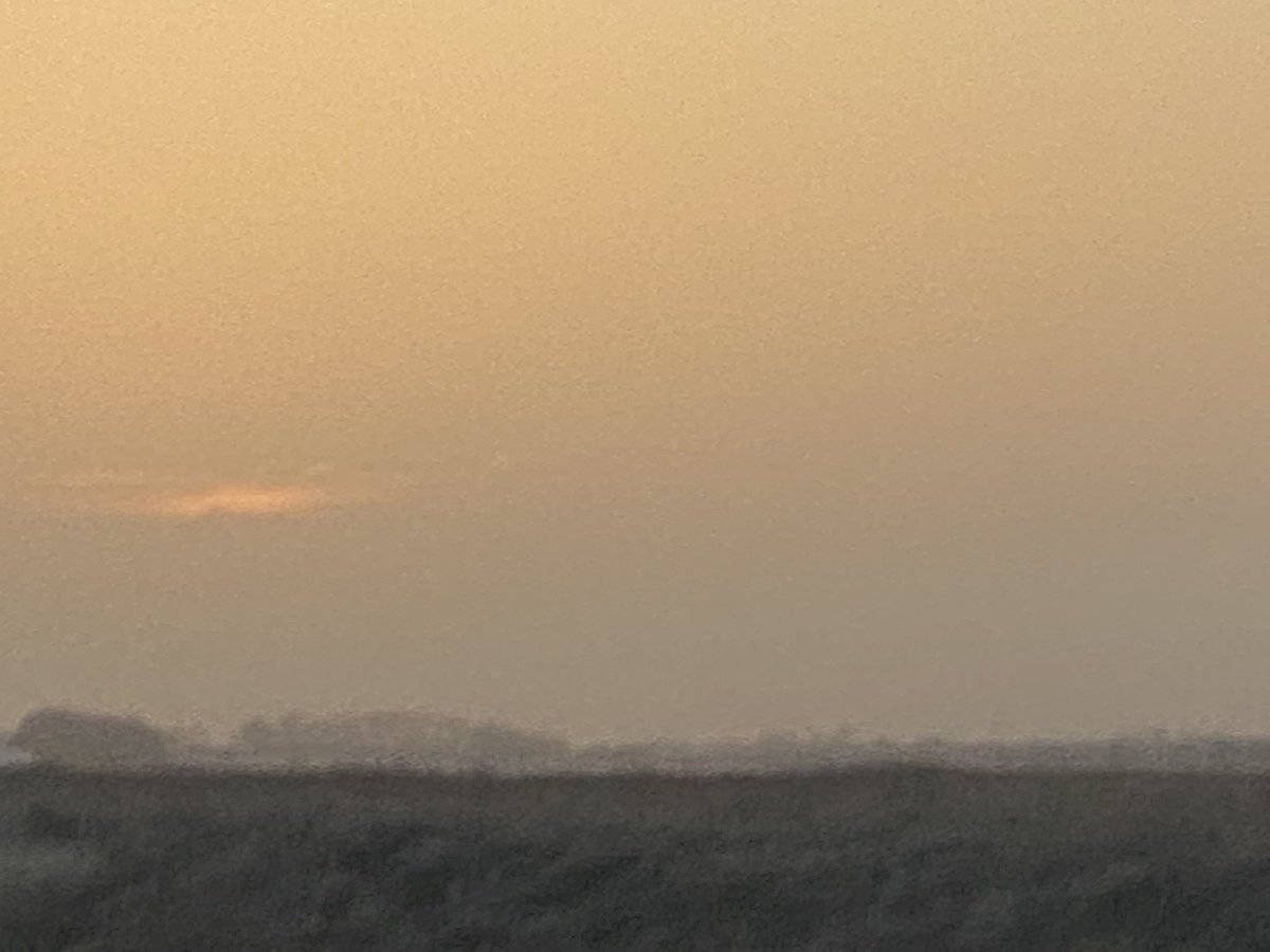 SoilLorax's tweet photo. Lots of #soil blowing in western MN. This is not a unique event. I've photos from every spring and/or fall in MN. Wind over 13mph move soil. You don't have to travel far to see that we have awesome soil- don't let it blow away. It's every farmers choice when choosing #tillage. https://t.co/ogC3eOsU6y